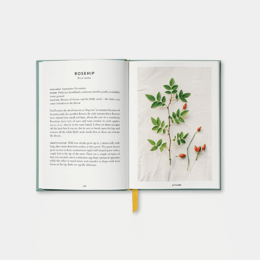 The Urban Forager