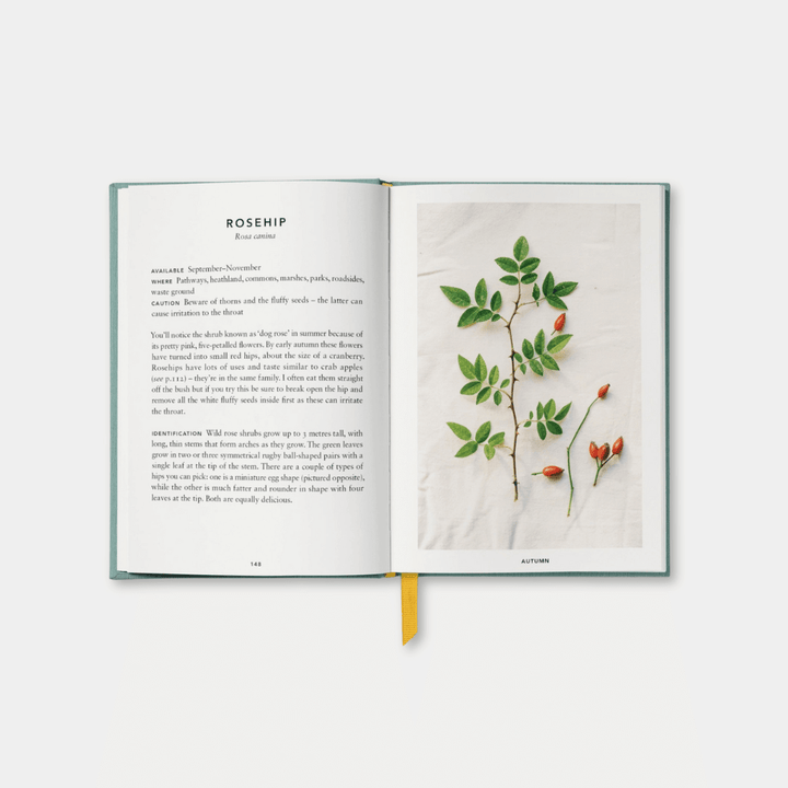 The Urban Forager