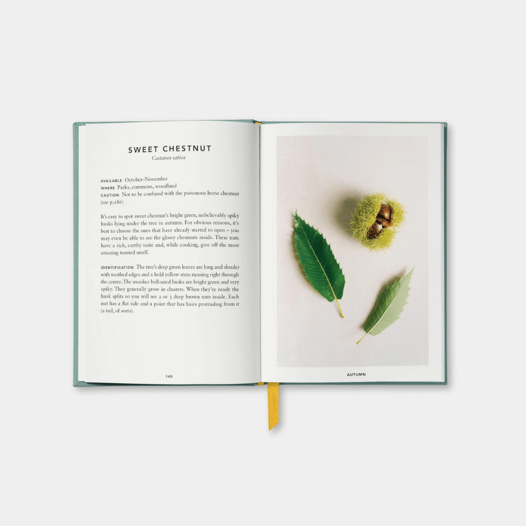 The Urban Forager