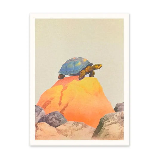 Tortoise on a Rock A5 Riso Art Print