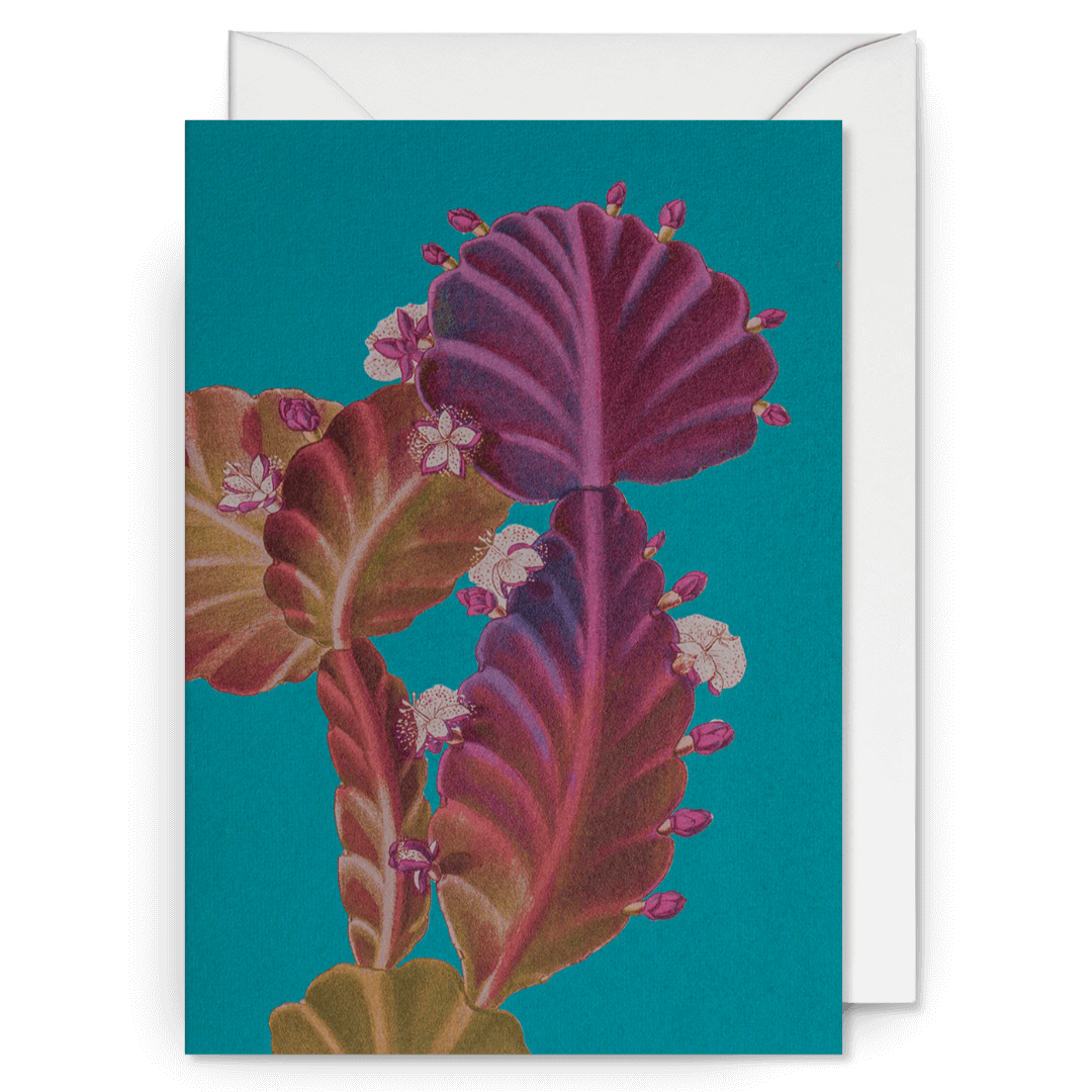 Tropical Plant Botanical Greetings Card