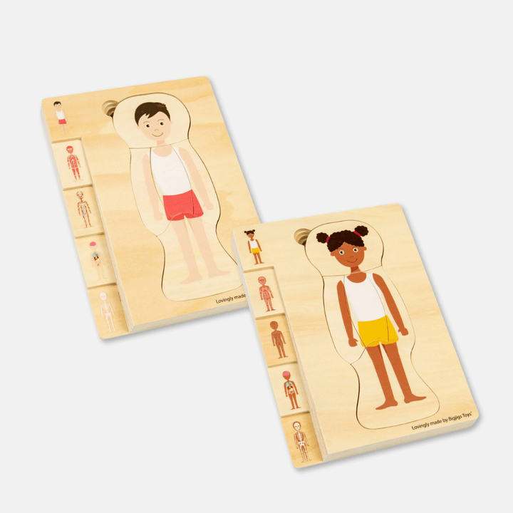 Wooden Anatomy Puzzles