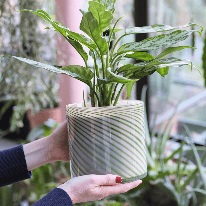 Large Spiral Glass Planter