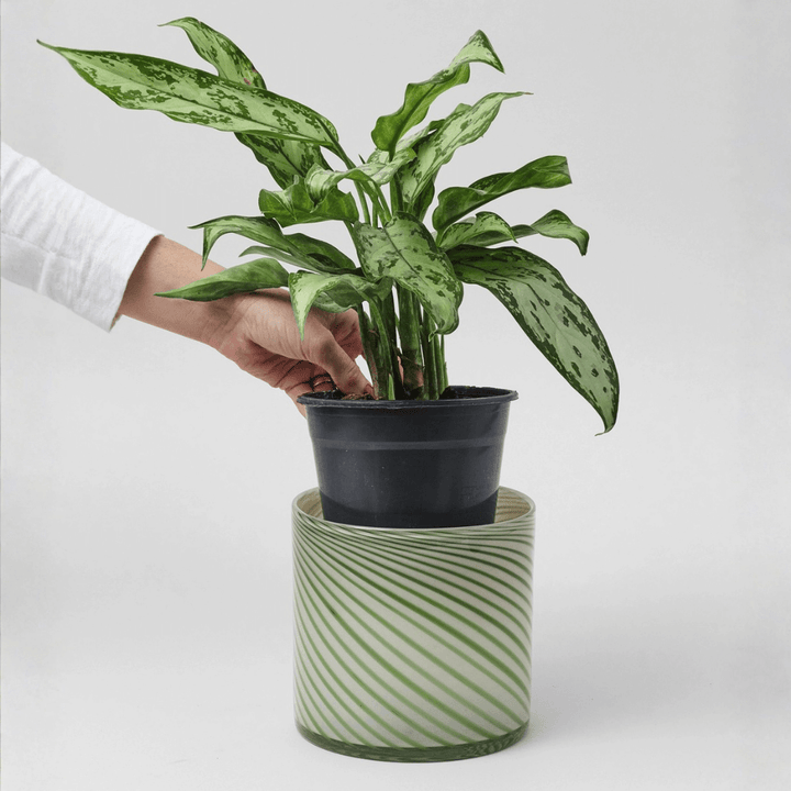 Large Spiral Glass Planter