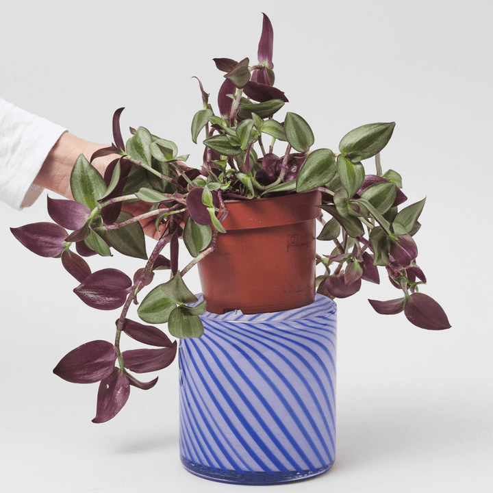 Medium Spiral Glass Planter