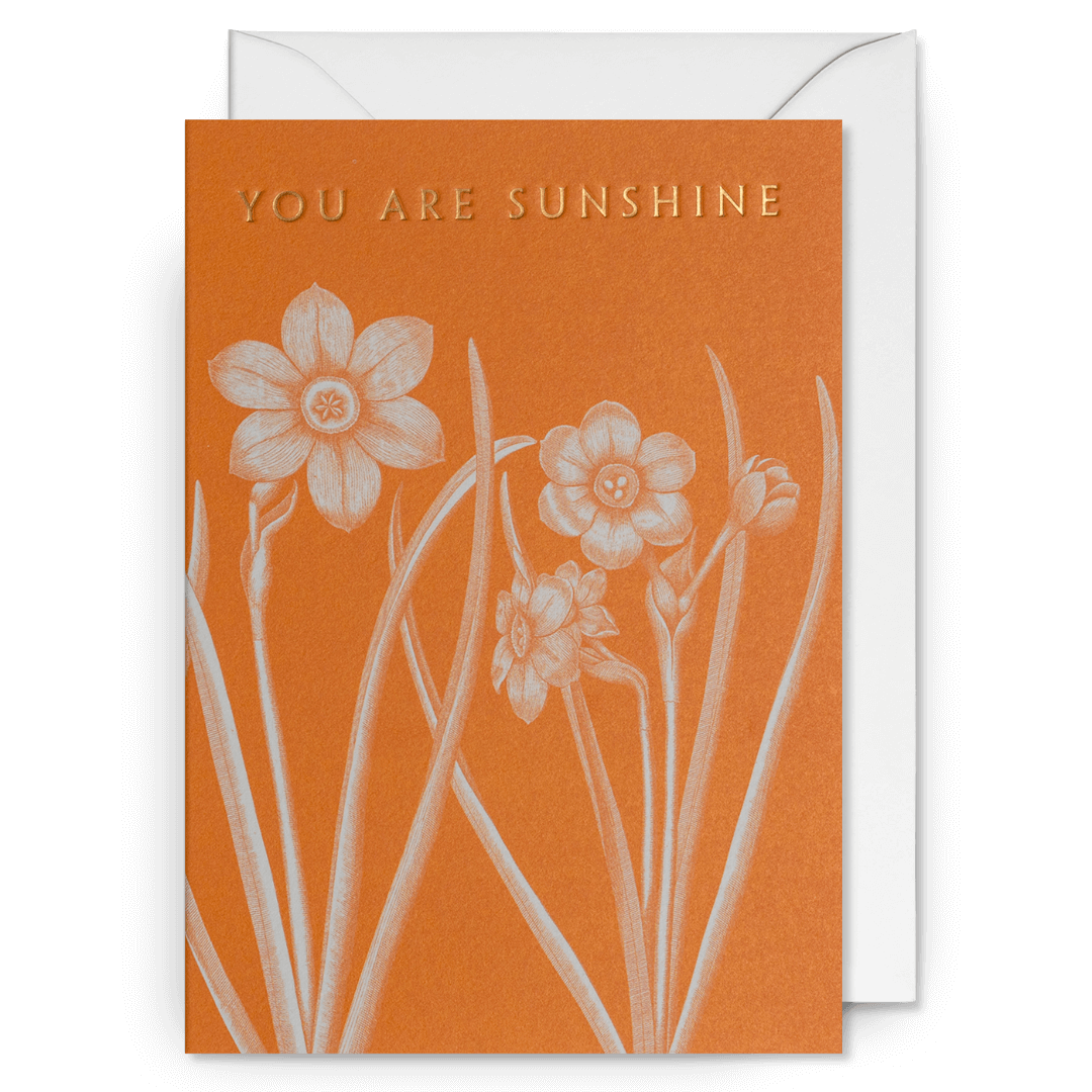 You Are Sunshine Greetings Card