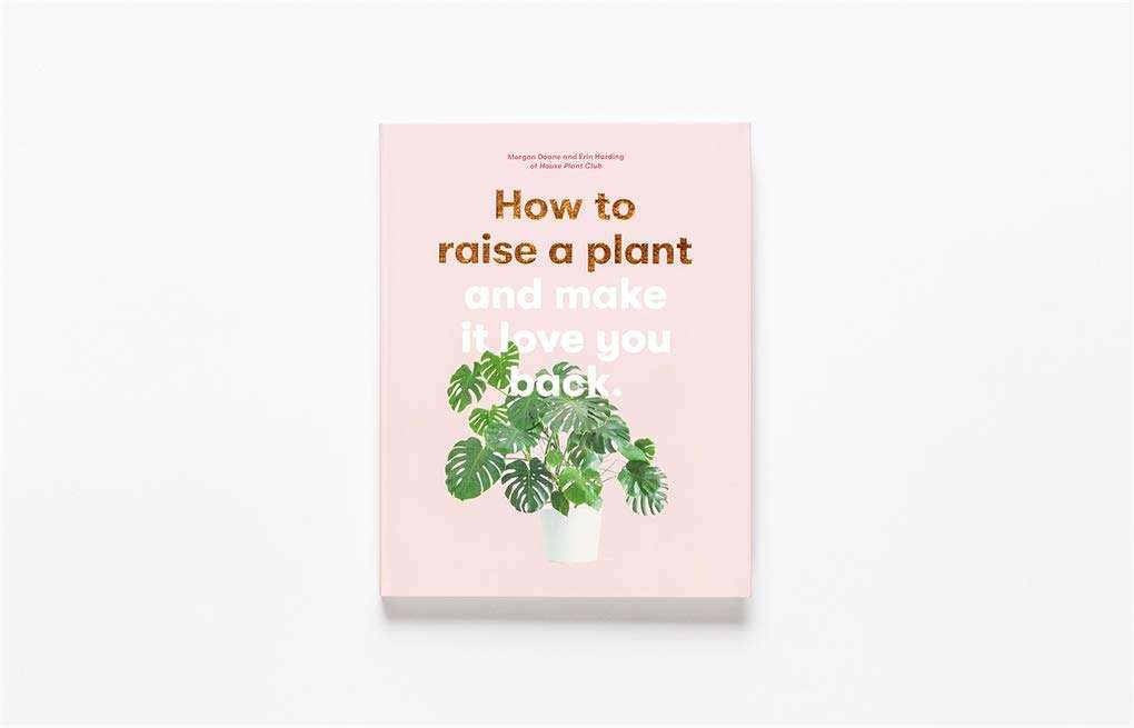 How To Raise a Plant and Make It Love You Back