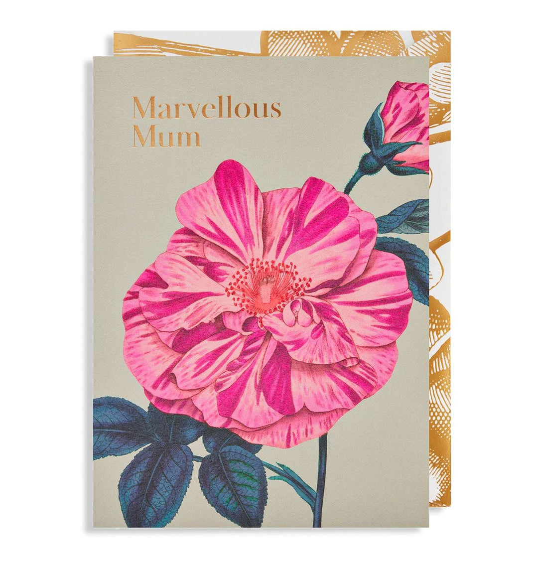 Marvellous Mum Greetings Card