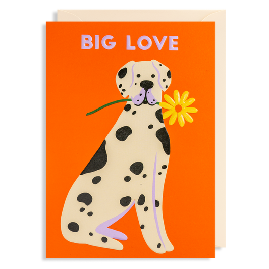 Big Love Greetings Card