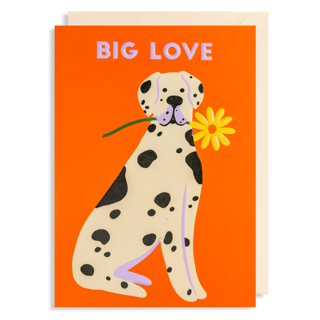 Big Love Greetings Card