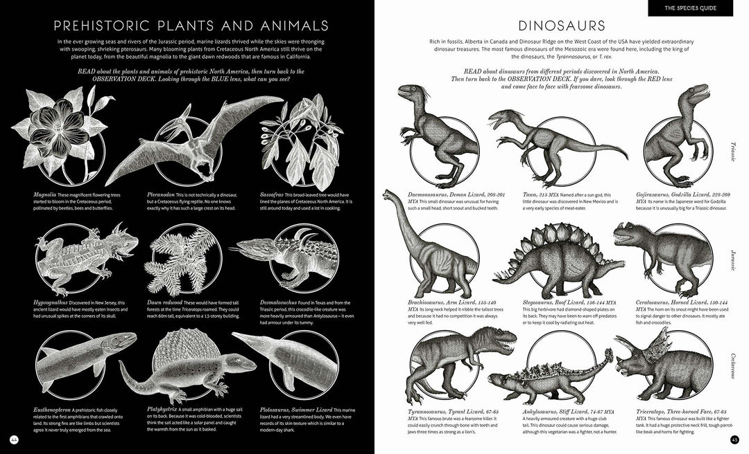 Illumisaurus