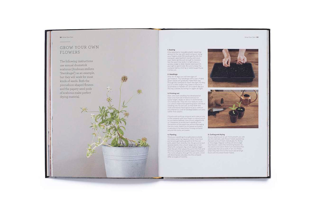 Cut & Dry: The Modern Guide to Dried Flowers from Growing to Styling