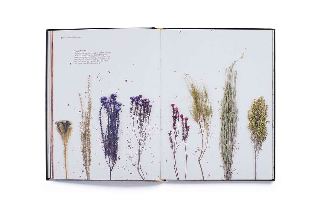 Cut & Dry: The Modern Guide to Dried Flowers from Growing to Styling