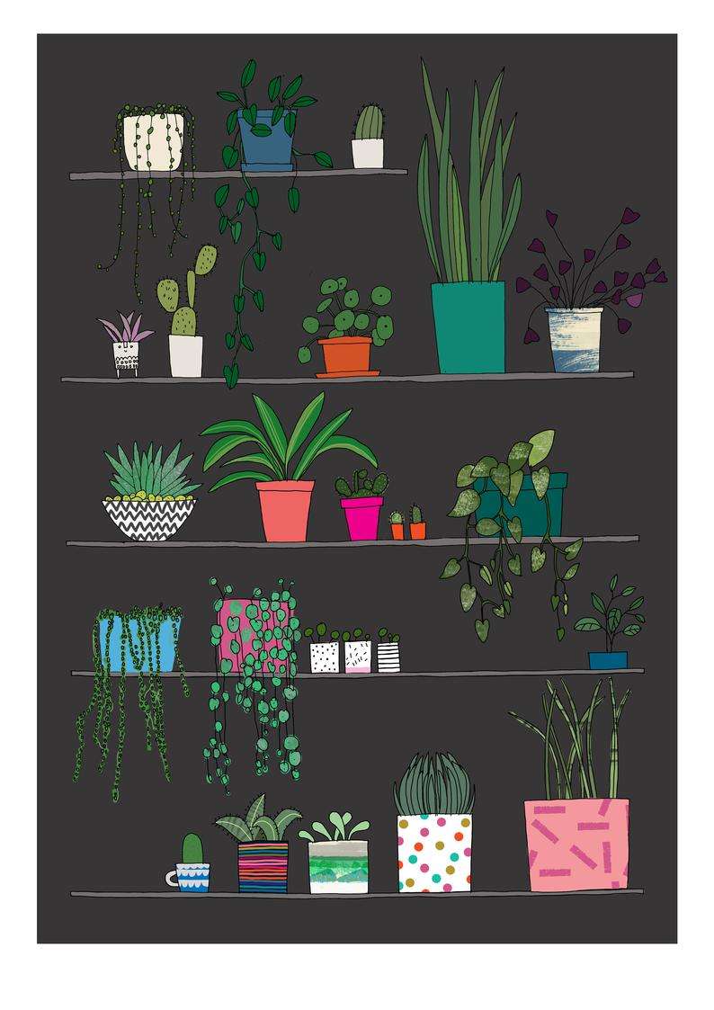 Pots and Plants A4 Print