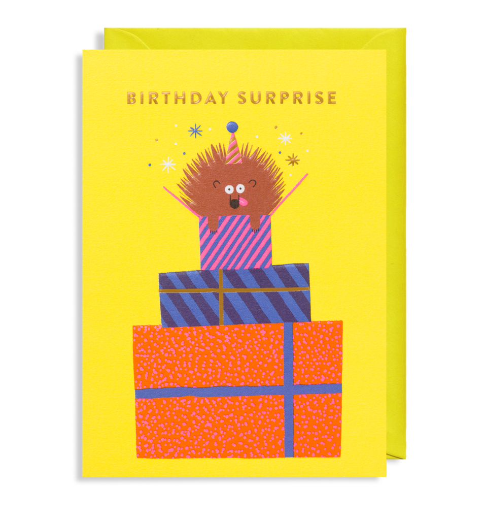 Birthday Surprise Hedgehog Card