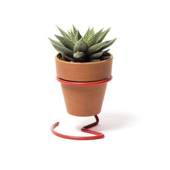 Wire Plant Pot Holder