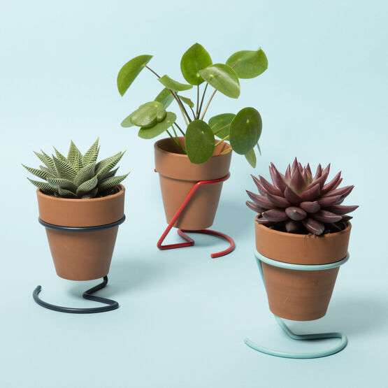 Wire Plant Pot Holder