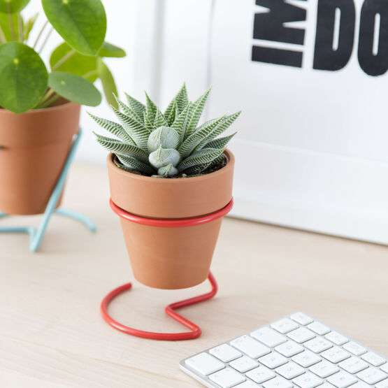 Wire Plant Pot Holder