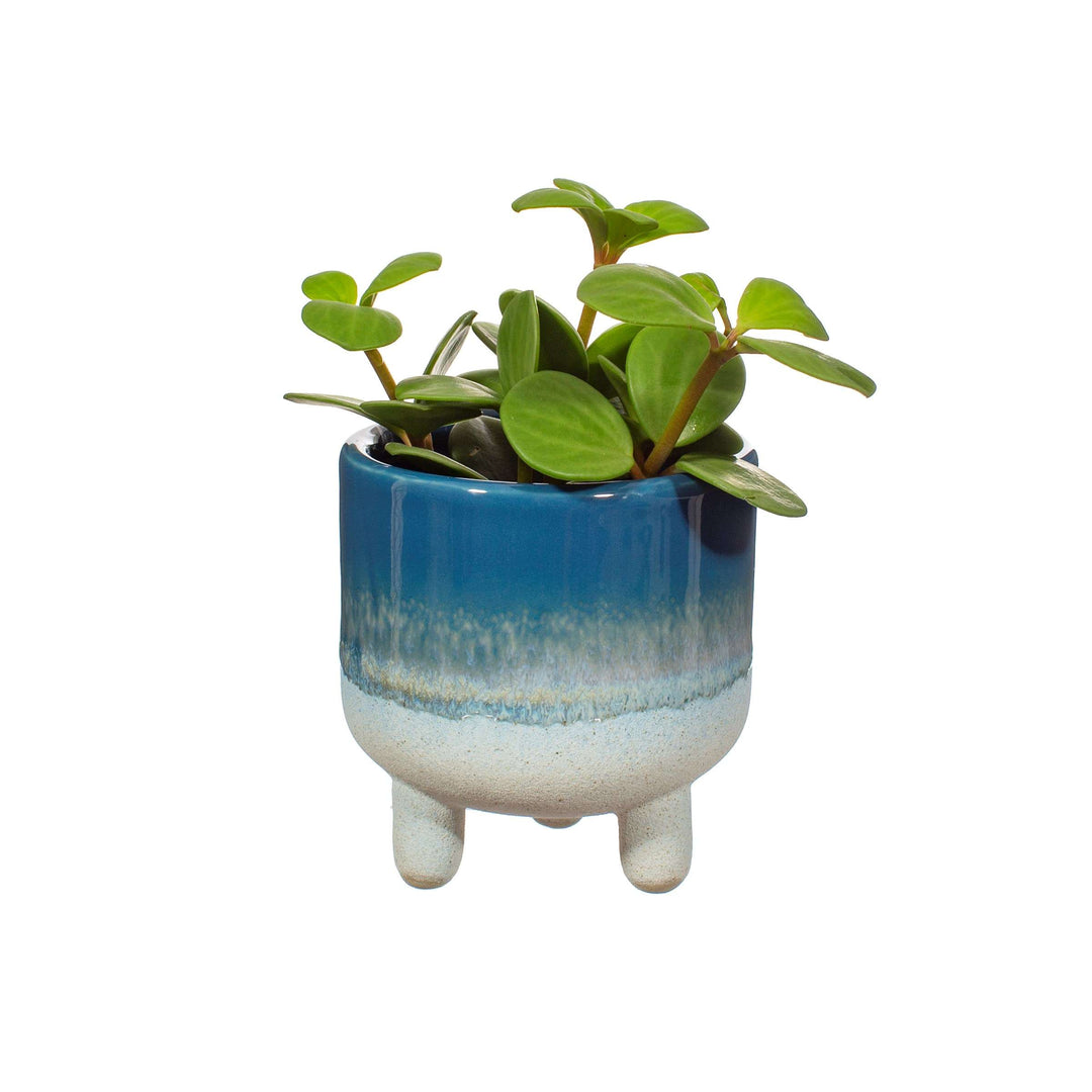 Mojave Glaze Planter - Blue