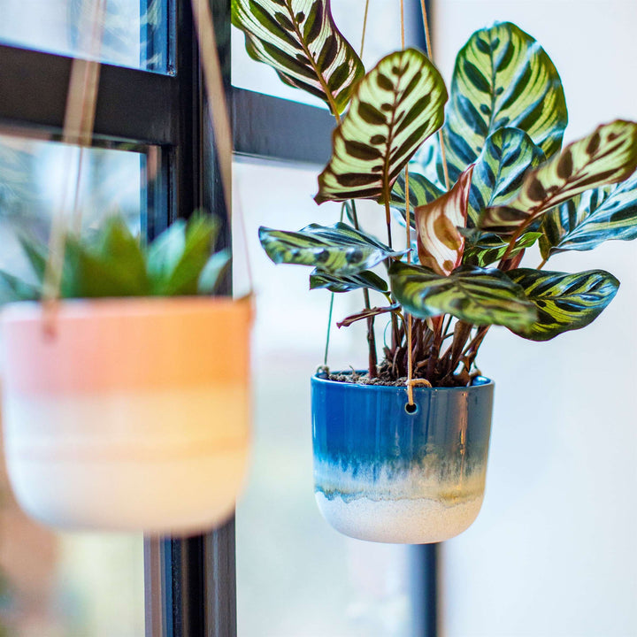 Mojave Hanging Planter - Blue