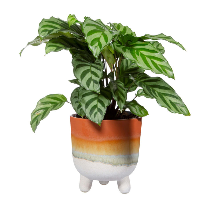 Mojave Large Planter