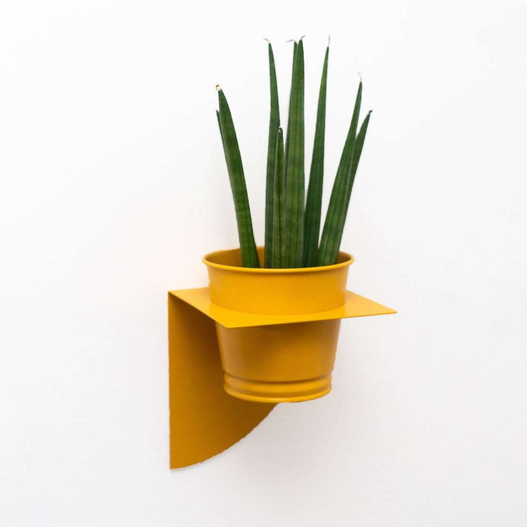 Arc Planter