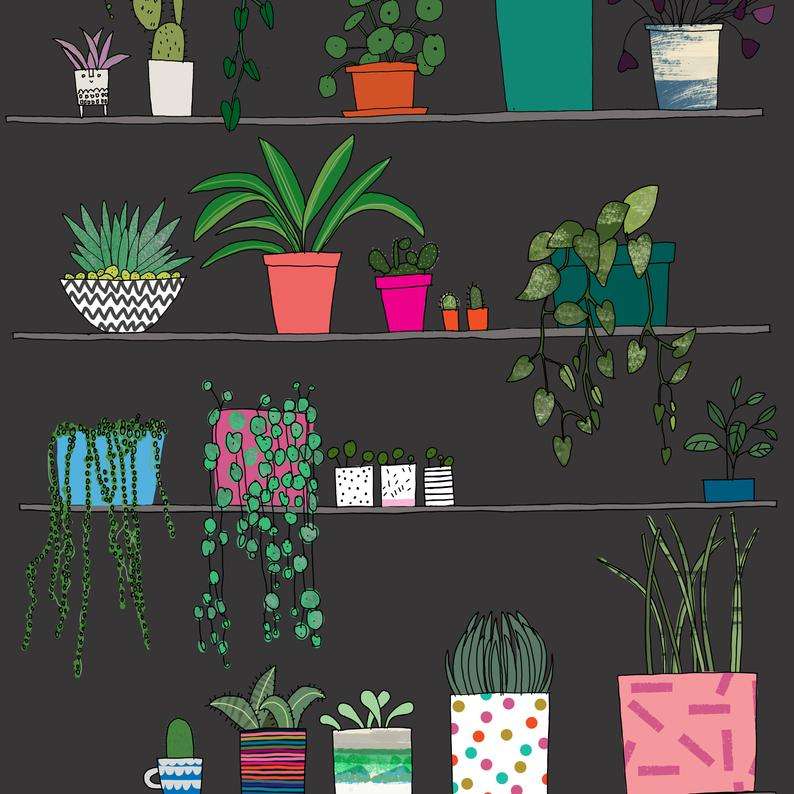 Pots and Plants A4 Print