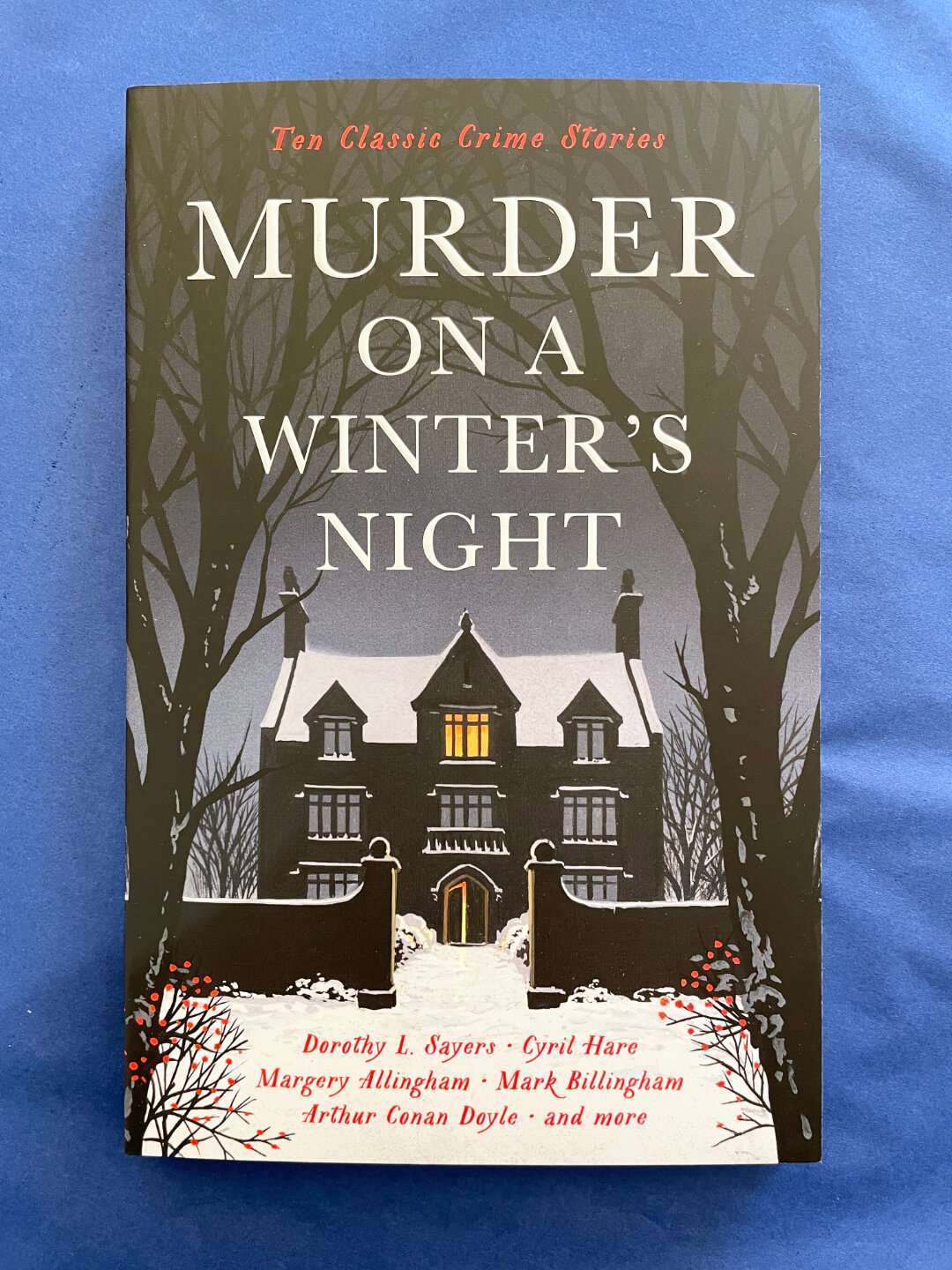 Murder on a Winter's Night