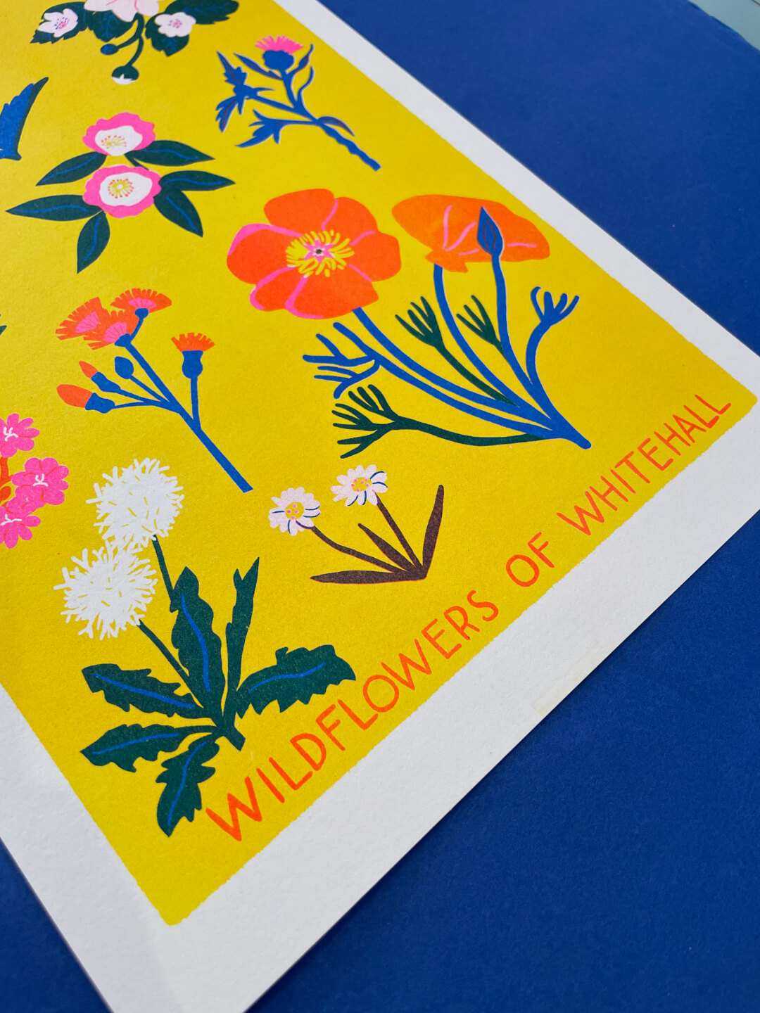 Whitehall Primary School Fundraising Prints