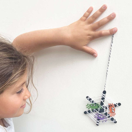 Make Your Own Spider's Web Activity Kit