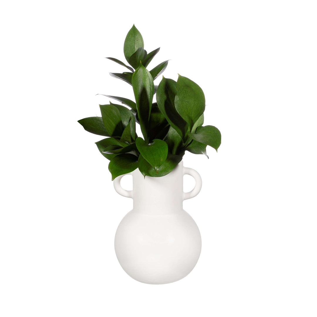 Small Amphora Vase - White