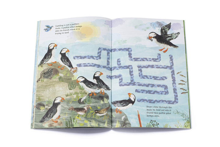 The Big Sticker Book of Birds