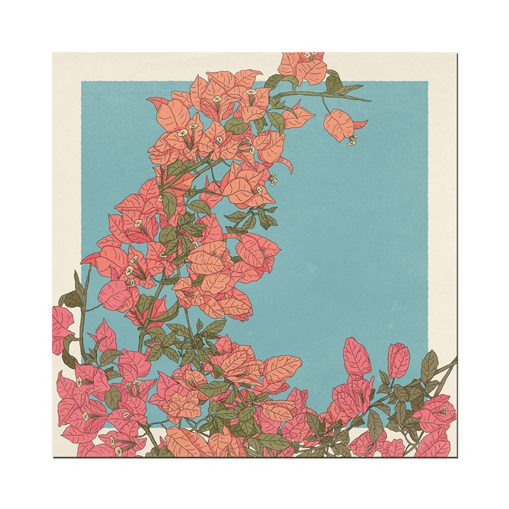 Bougainvillea Print