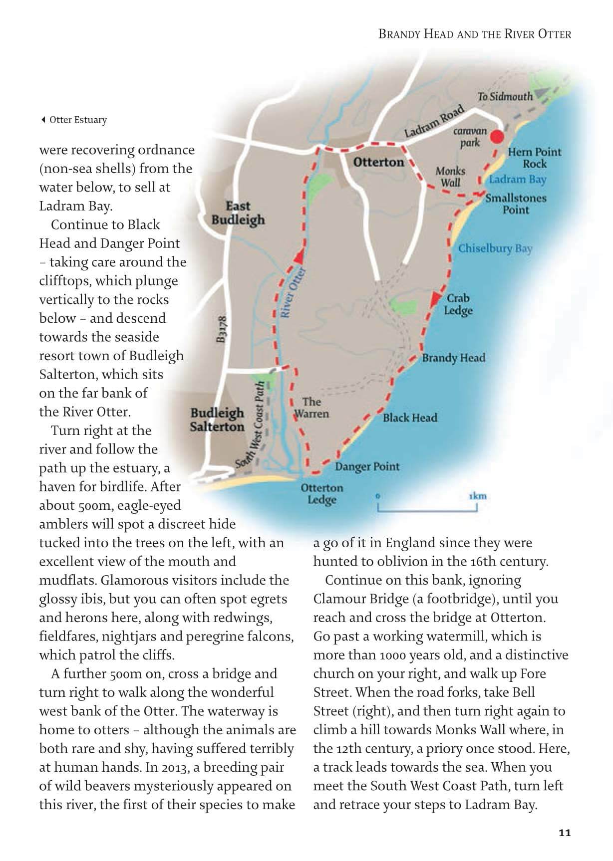 Pocket Mountain Walking Guide: Devon