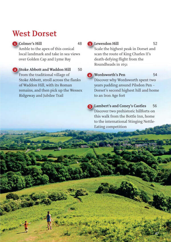 Pocket Mountain Walking Guide: Dorset