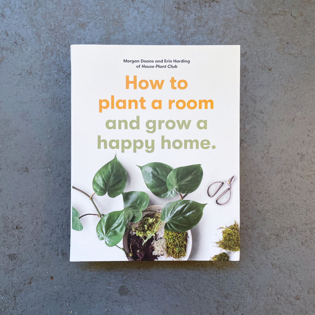 How to Plant a Room and Grow a Happy Home