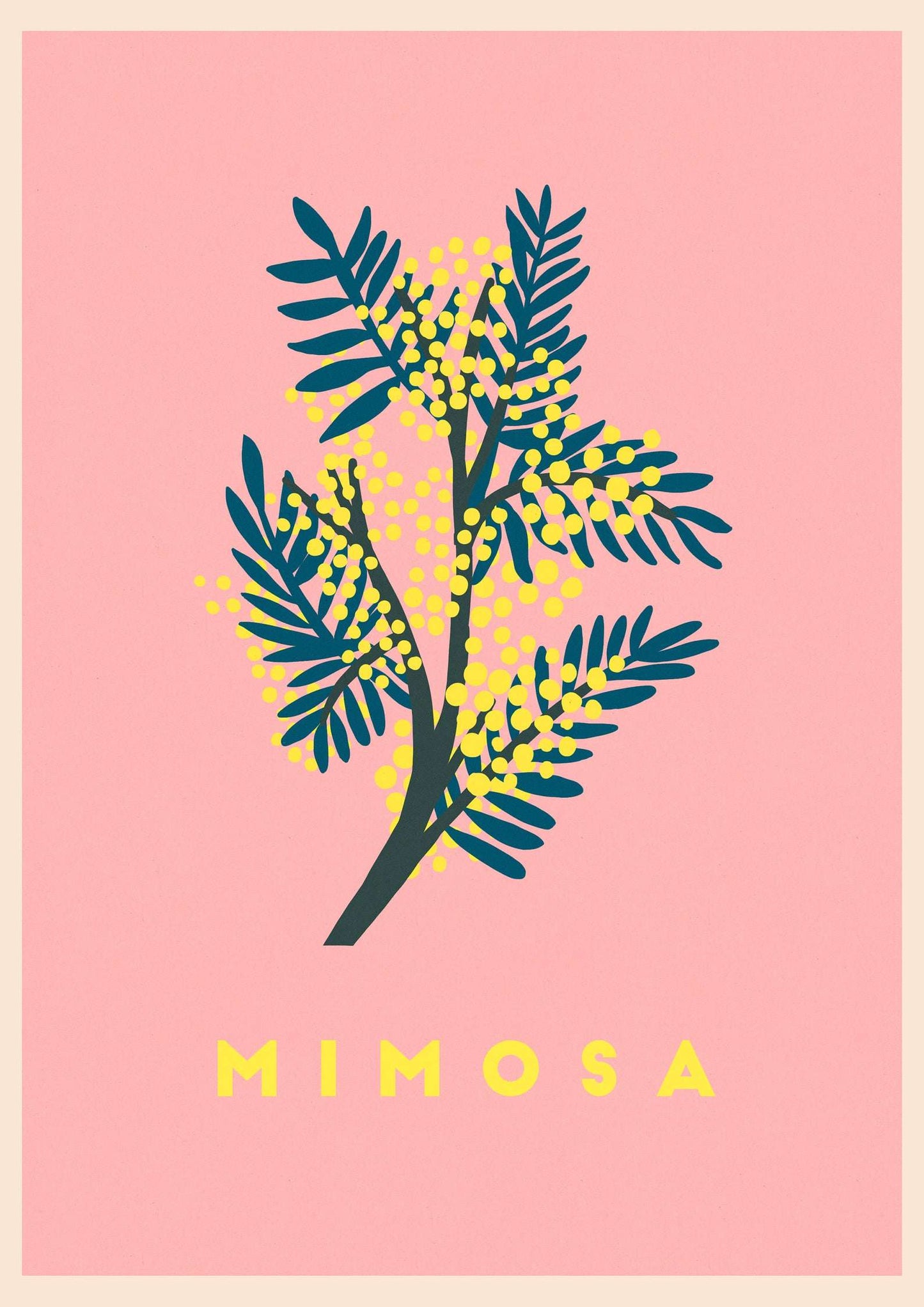 Mimosa A4 Print
