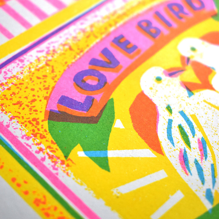 Love Bird Matches A4 Art Print