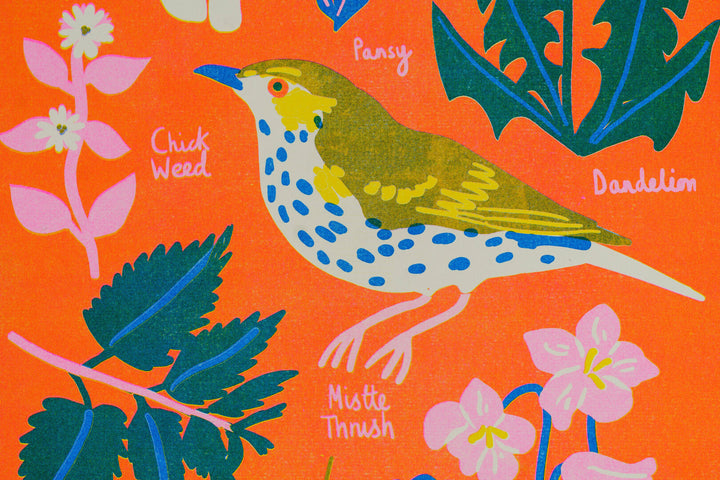 February Foraging Riso Print