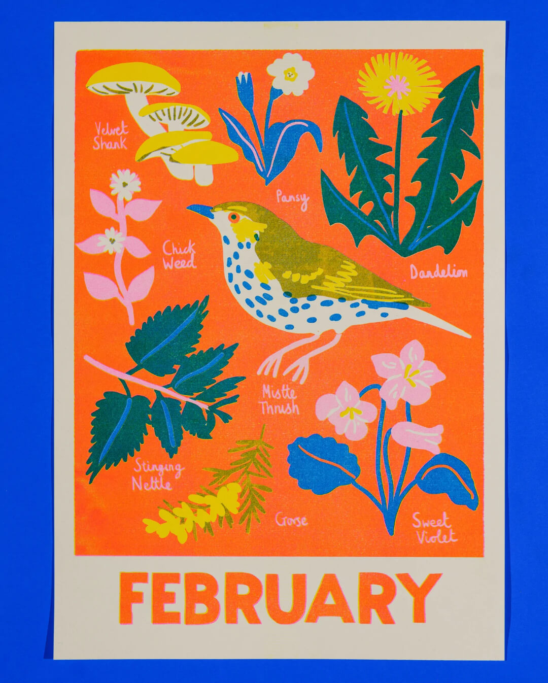 February Foraging Riso Print