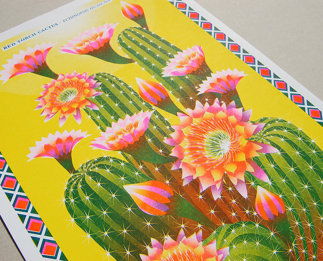 Cactus A3 Risograph Print