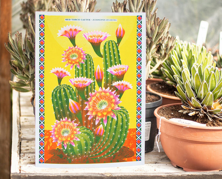 Cactus A3 Risograph Print