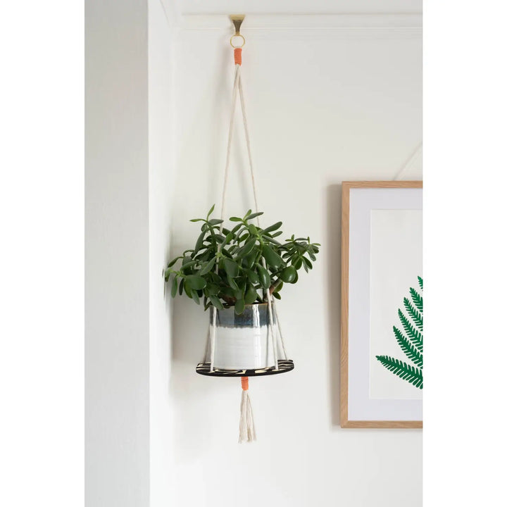 Abstract Hanging Plant Shelf