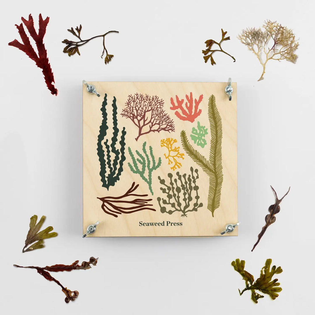 Seaweed Press Kit